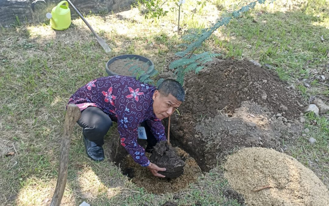 Penanaman Pohon untuk Penghijauan, Pertamanan, dan Kelestarian Lingkungan Sekolah